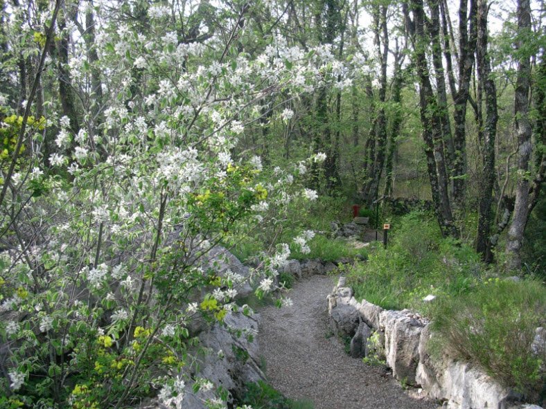 Giardino Botanico Carsiana, Italy, Italy